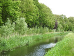 Bornsebeek